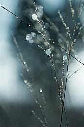 视觉小说《间宫摩美想要疗癒你》中文版将于2024年第一季度正式发售！